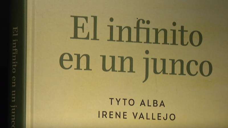 El ilustrador Tyto Alba traduce el ensayo de Irene Vallejo, 'El infinito del junco', al cómic
