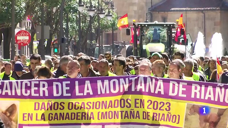 Castilla y León en 1' | Ver