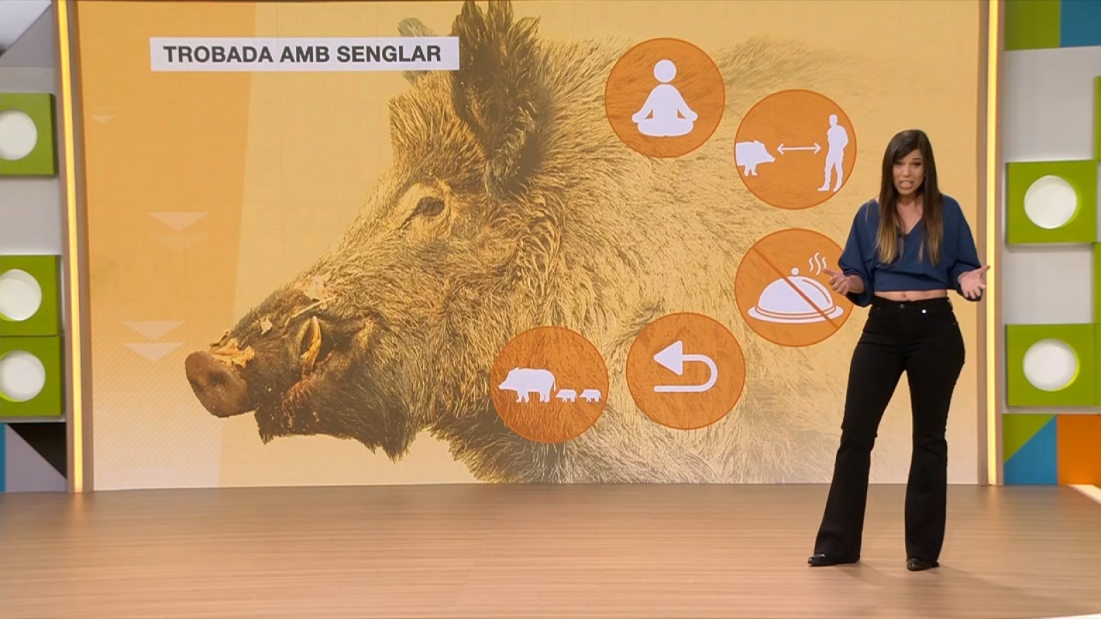 La població de senglars disminueix a Catalunya - L'altaveu - L'altaveu | Veure