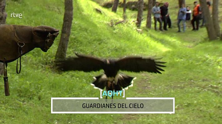 Aquí hay trabajo - Trabajo de rapaces