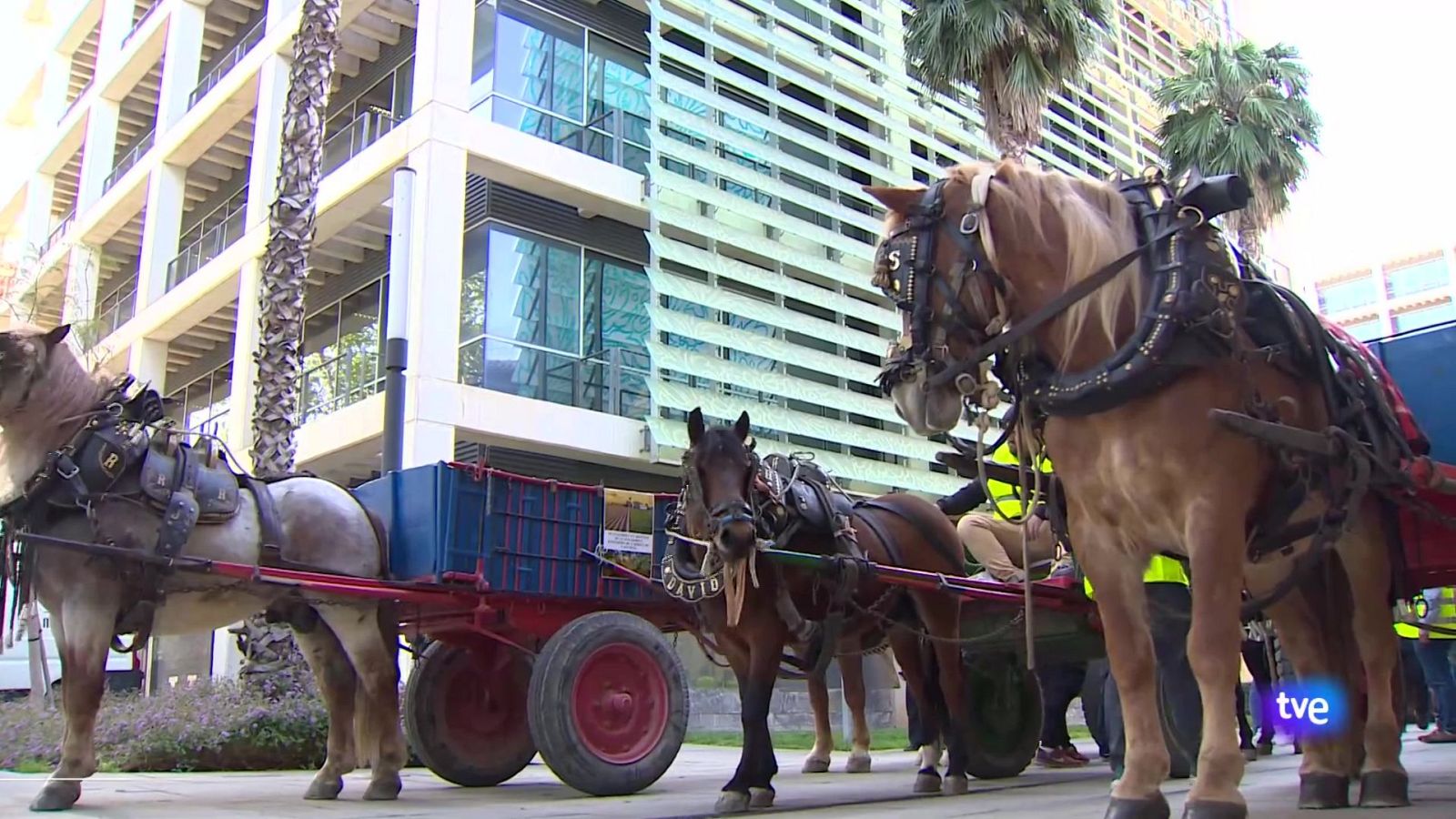 L'Informatiu de la Comunitat Valenciana 1 - 12/04/24 | Ver