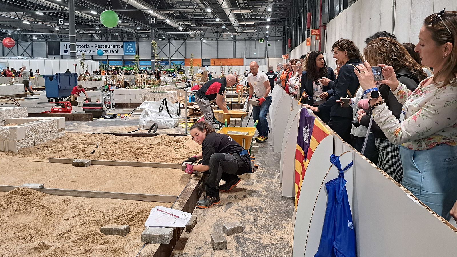 Madrid acoge las "Spainskills", las Olimpiadas de FP - Telediario 1 | Ver