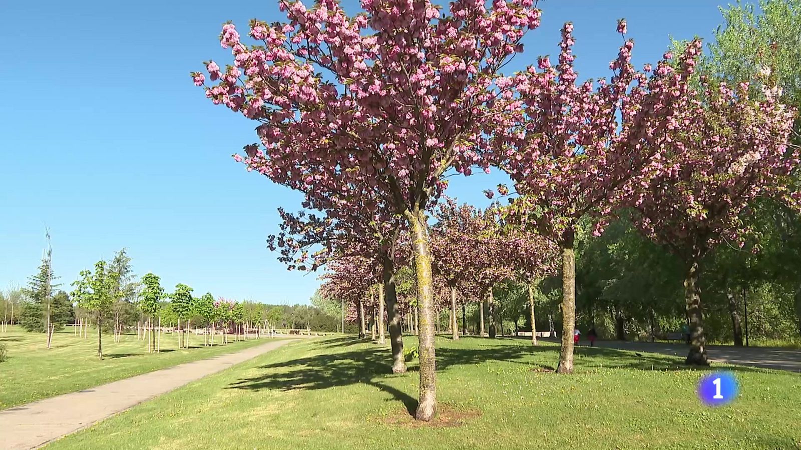 Informativo Telerioja 2 - 12-04-2024 | Ver