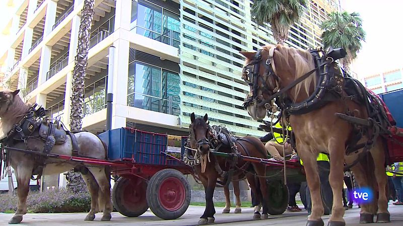 L'Informatiu de la Comunitat Valenciana 2 - 12/04/24 | Ver