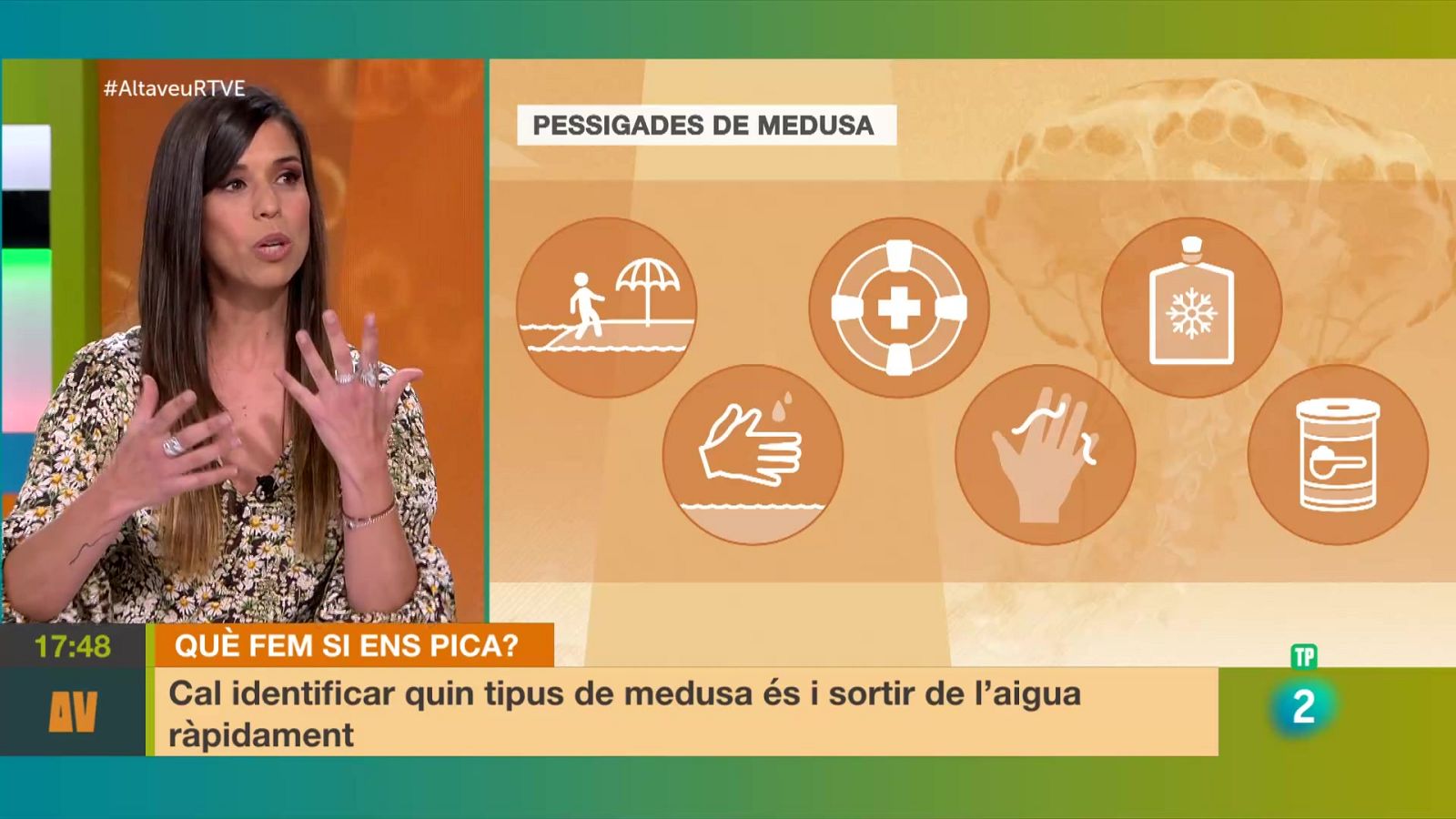 Hi ha més meduses? Què fem si ens piquen? | L'altaveu - L'altaveu | Veure