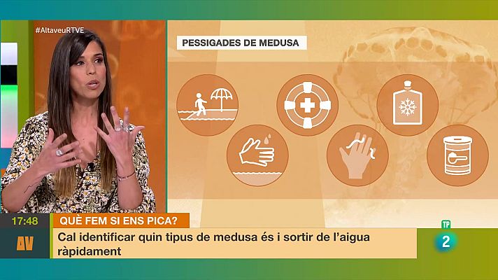 L'altaveu - Hi ha més meduses? Què fem si ens piquen?