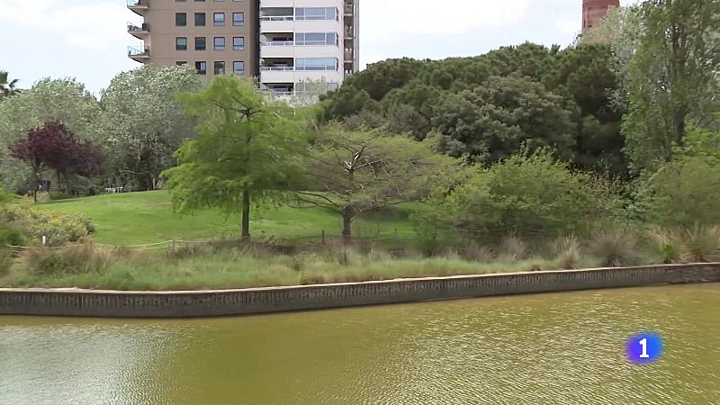 Les altes temperatures afecten directament la nostra salut - L'Informatiu | Veure