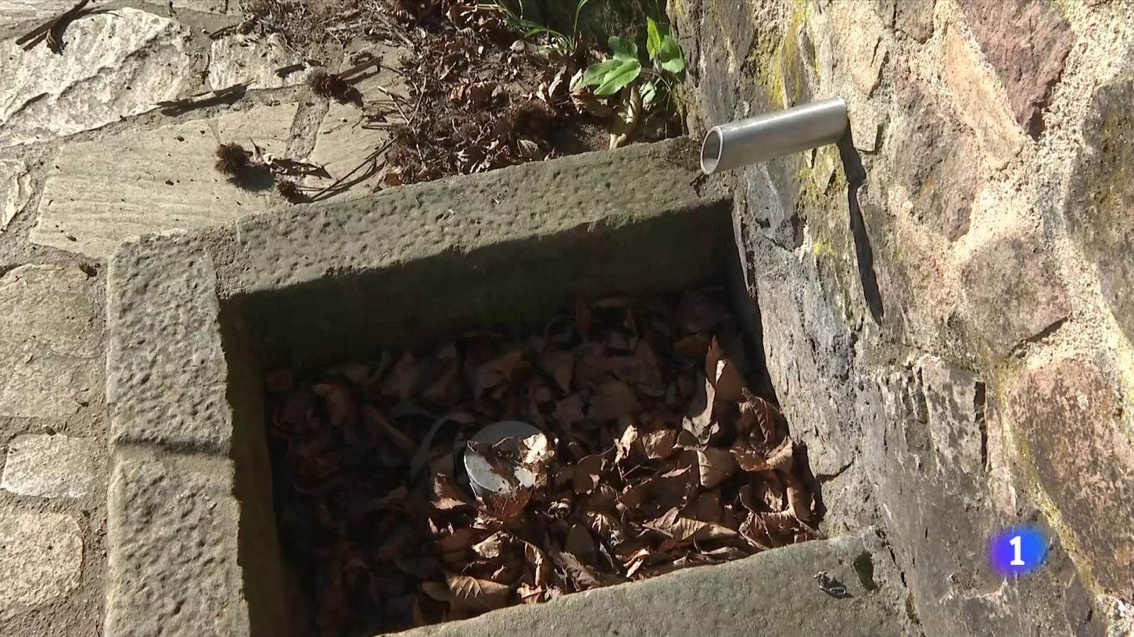 Les fonts naturals perden el 70% del cabal - L'Informatiu | Veure