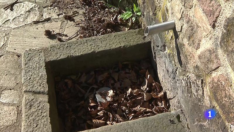 Les fonts naturals perden el 70% del cabal - L'Informatiu | Veure