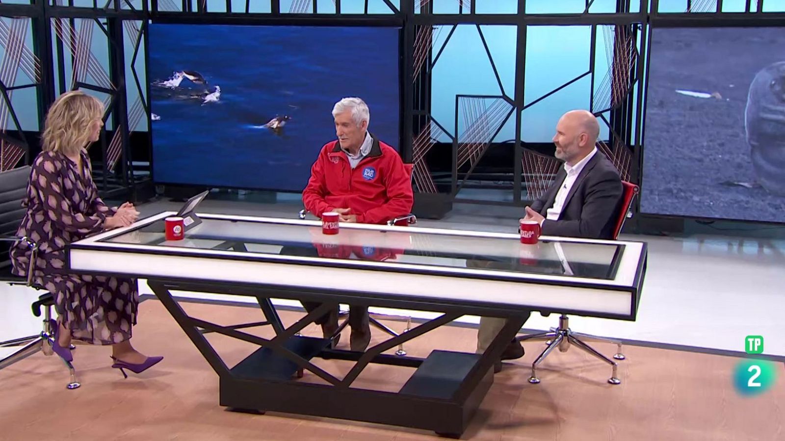 J. M.ª Jayme y J. L. Martínez Soria. Rumbo Antártida | Ver