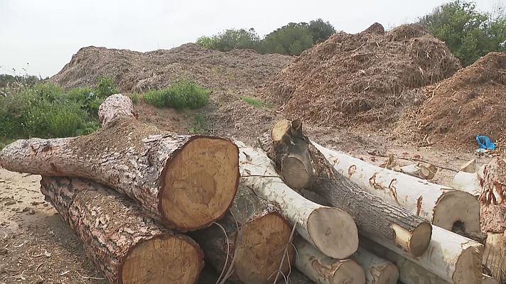 L'Informatiu - Pla de xoc a l'Ametlla de Vallès per mantenir net el bosc