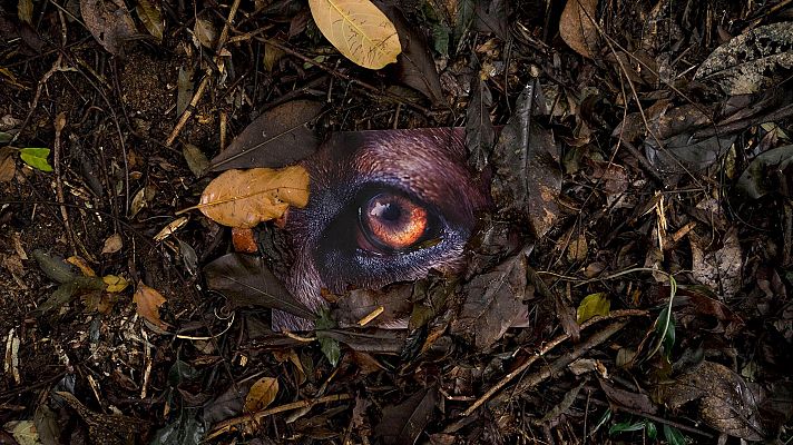 Metrópolis - Daniel Steegmann Mangrané