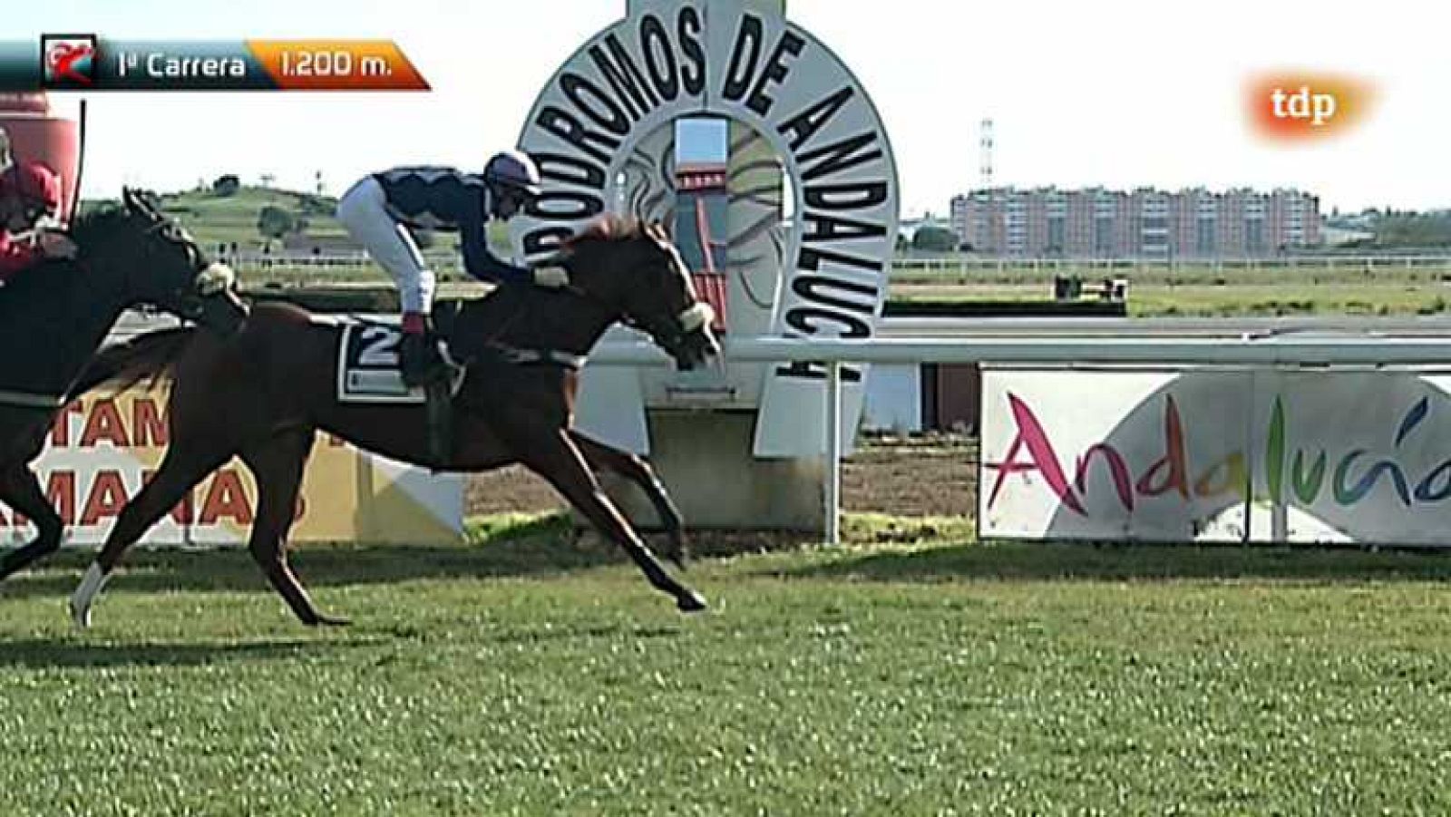 Turf - 09/12/12 - Ver ahora