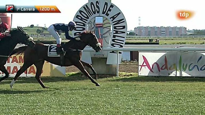 Turf - Turf - 09/12/12