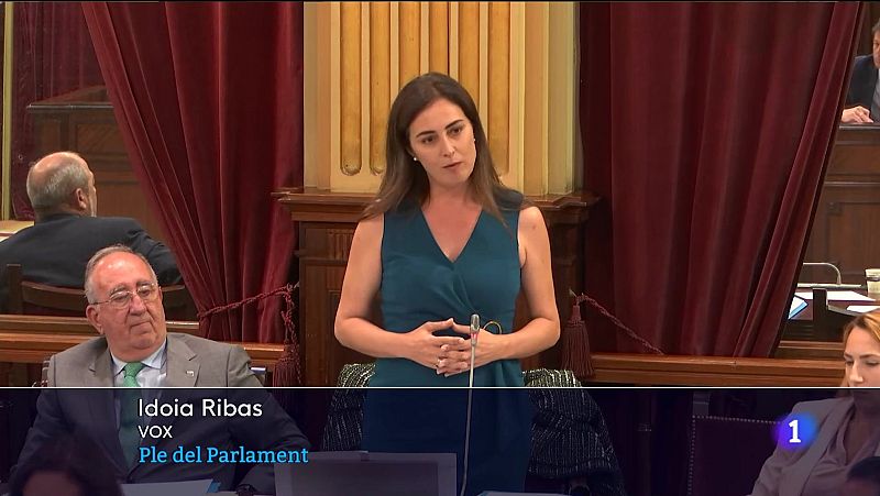 Crònica parlamentària | Ver