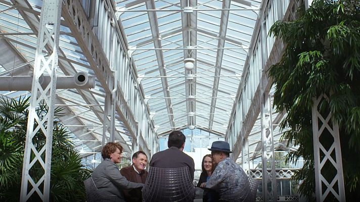 La matemática del espejo - Trasplantes