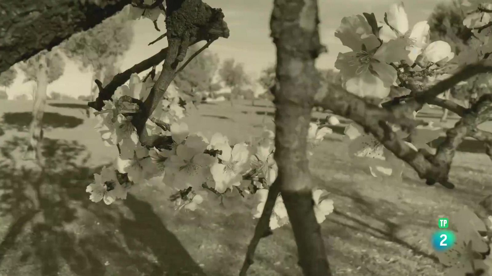 Boek Visual: Marisa Maestre | Ver