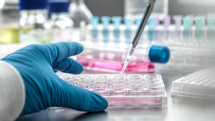 Telediario 1 - El CSIC ofrece prácticas para jóvenes de zonas vulnerables