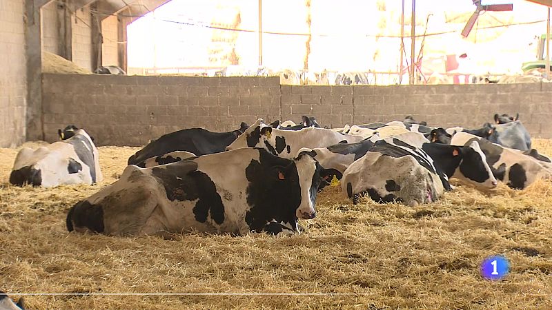 Informativo Telerioja  - 18/04/24 - Informativo Telerioja | Ver