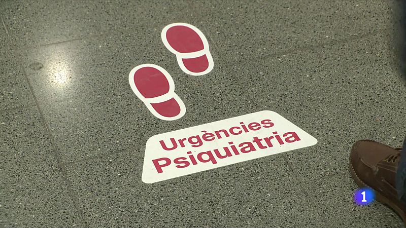 Els intents de suïcidi van augmentar un 50% després de la pandèmia de covid