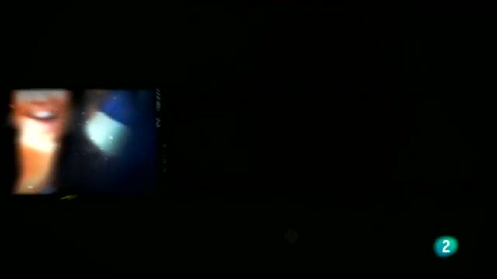 Un mundo mejor - Fotoacción -