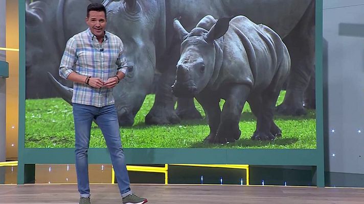 Aquí la Tierra - Aquí la Tierra - 18/04/24