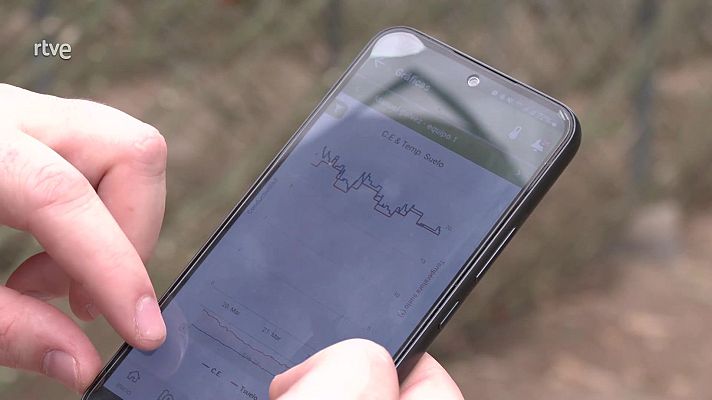 Aquí hay trabajo - Aquí hay trabajo - 19/04/24