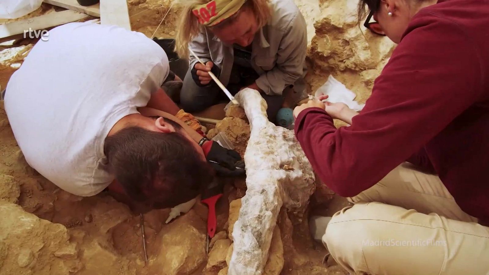 UNED - 19/04/24 - ver ahora