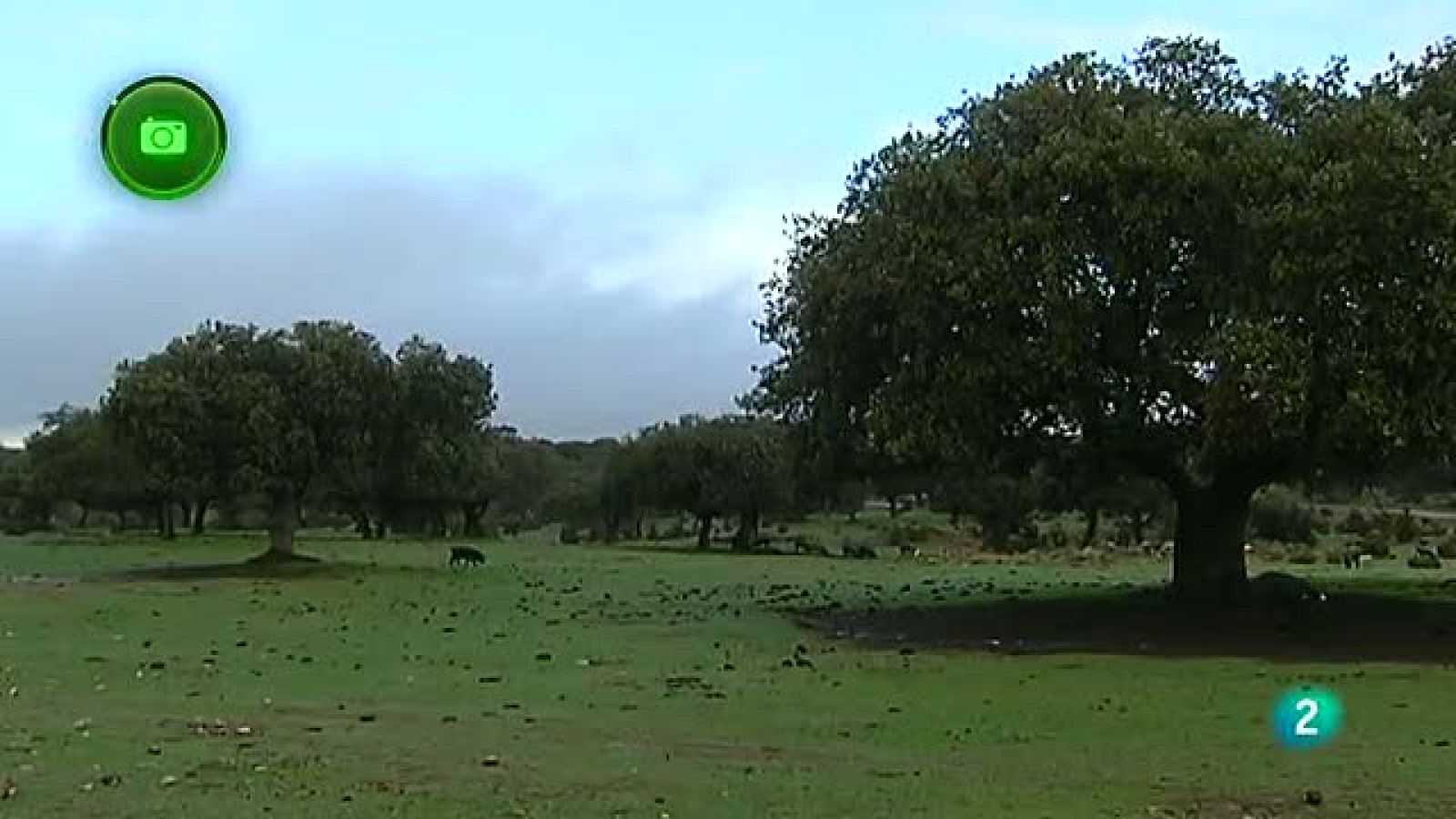 Agrosfera - En clave rural - La ruta del ibérico en Montánchez