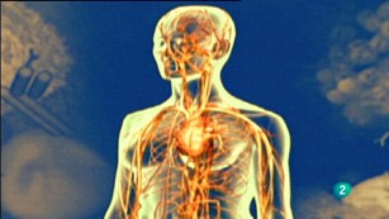 Fábrica de ideas-Innova: IRB-Barcelona