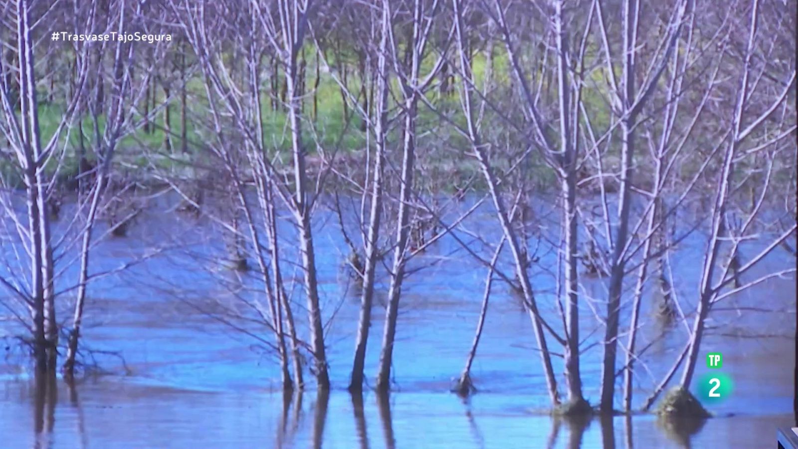 Beatriz Larraz. Cátedra del Tajo | Ver