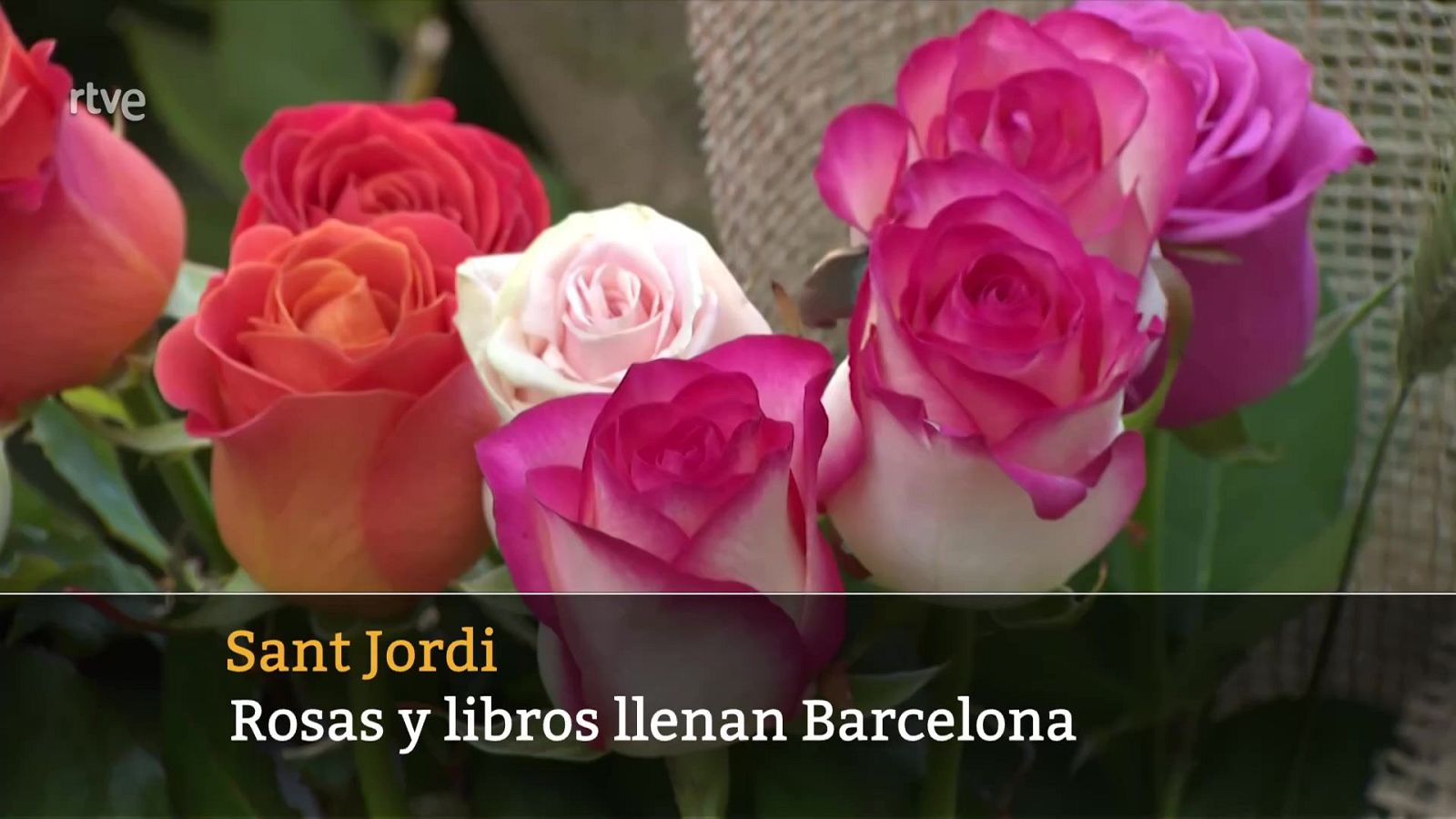 Diario 24 - 23/04/24 - ver ahora