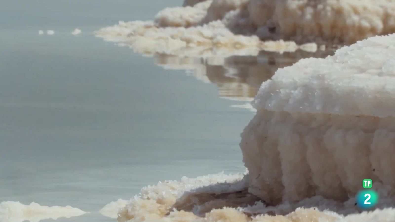 Noticiero Científico y Cultural Iberoamericano | Ver