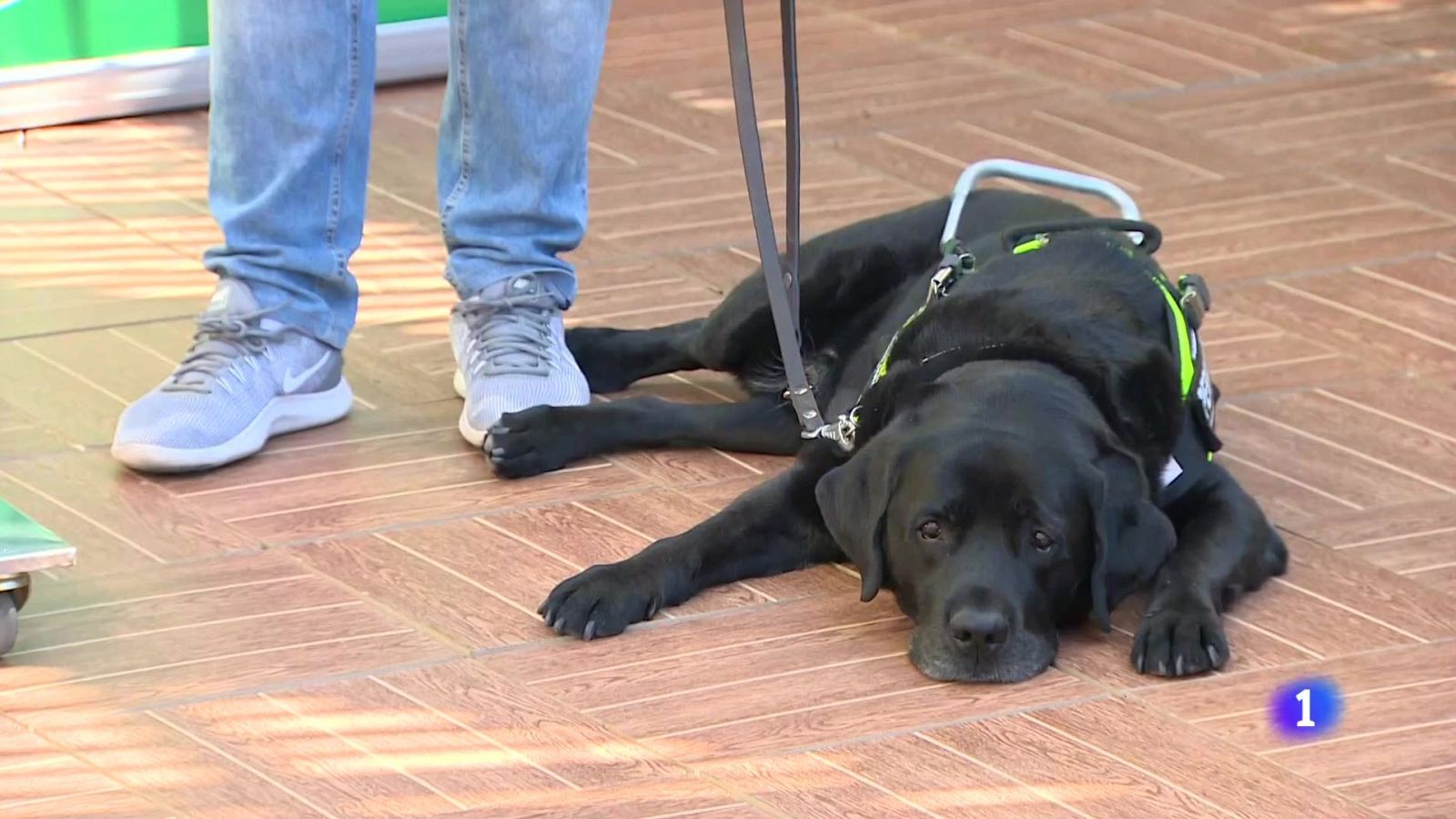 L'Informatiu Comunitat Valenciana 2 - 24/04/24 | Ver