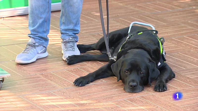 L'Informatiu Comunitat Valenciana 2 - 24/04/24 | Ver