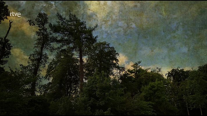 La aventura del Saber - Boek Visual: Xavi Millán