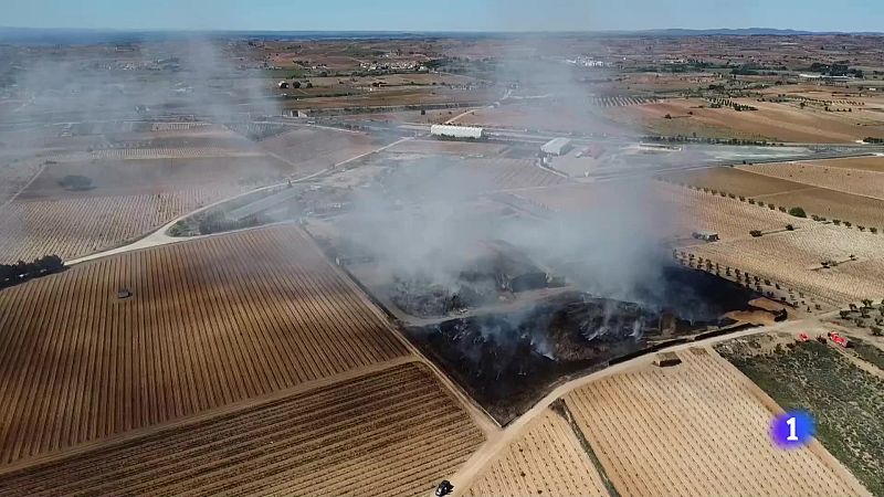 L'Informatiu Comunitat Valenciana 2 - 25/04/24 | Ver