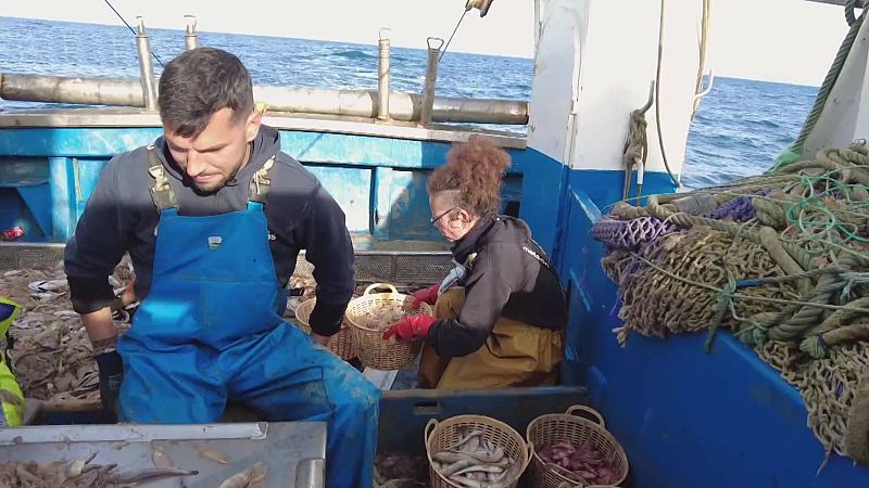 El escarabajo verde - Los ojos del mar