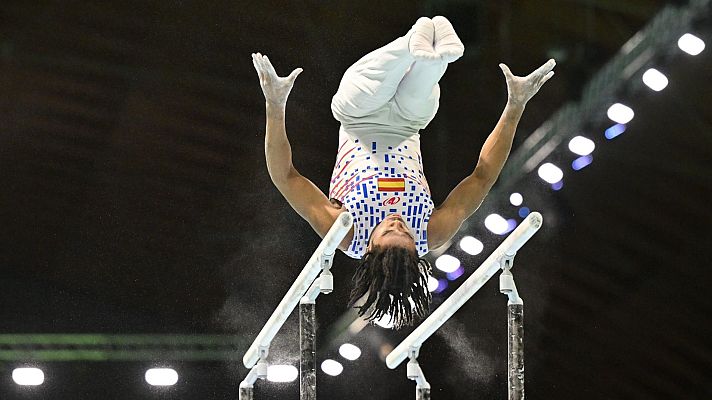 Gimnasia artística - Campeonato de Europa masculino. Final aparatos II