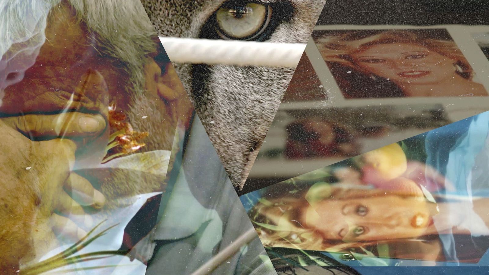 Lucía en la telaraña - Temporada 2 - Episodio 1: Proteger a los testigos - Ver ahora