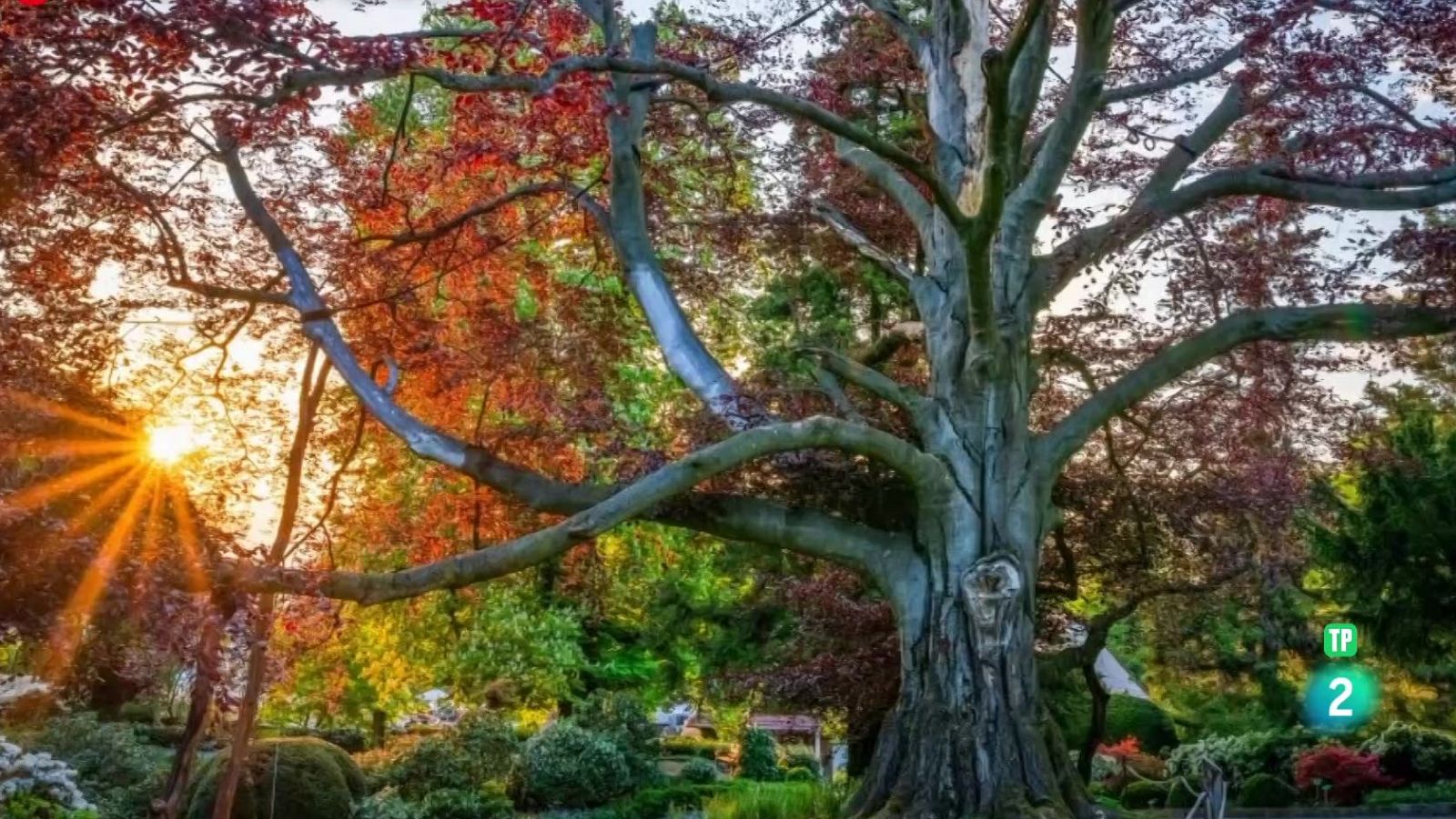 Agenda natural | Ver