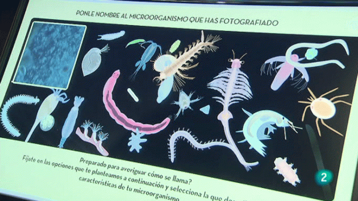 La aventura del Saber - Exposición "Microvida"