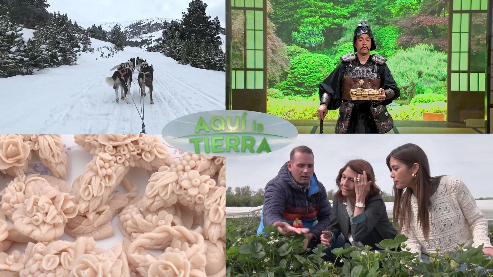 Aquí la Tierra - 29/04/24 - ver ahora