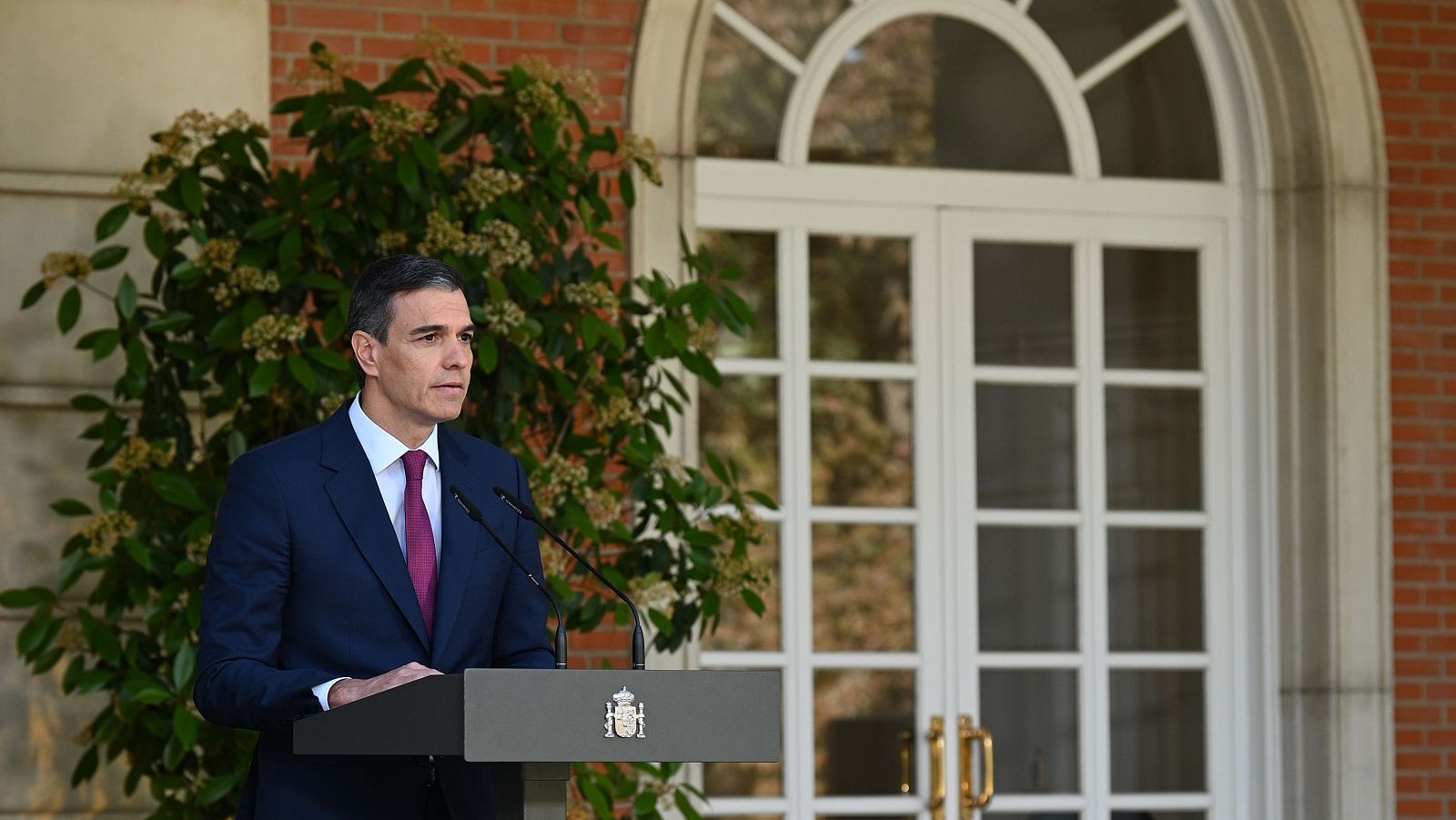 Pedro Sánchez no dimite: así ha anunciado su decisión | Ver