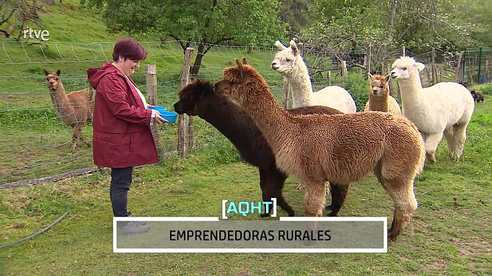 Aquí hay trabajo - Emprendedoras rurales