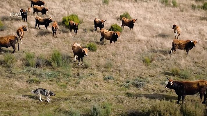 Ahora o nunca - Programa 324