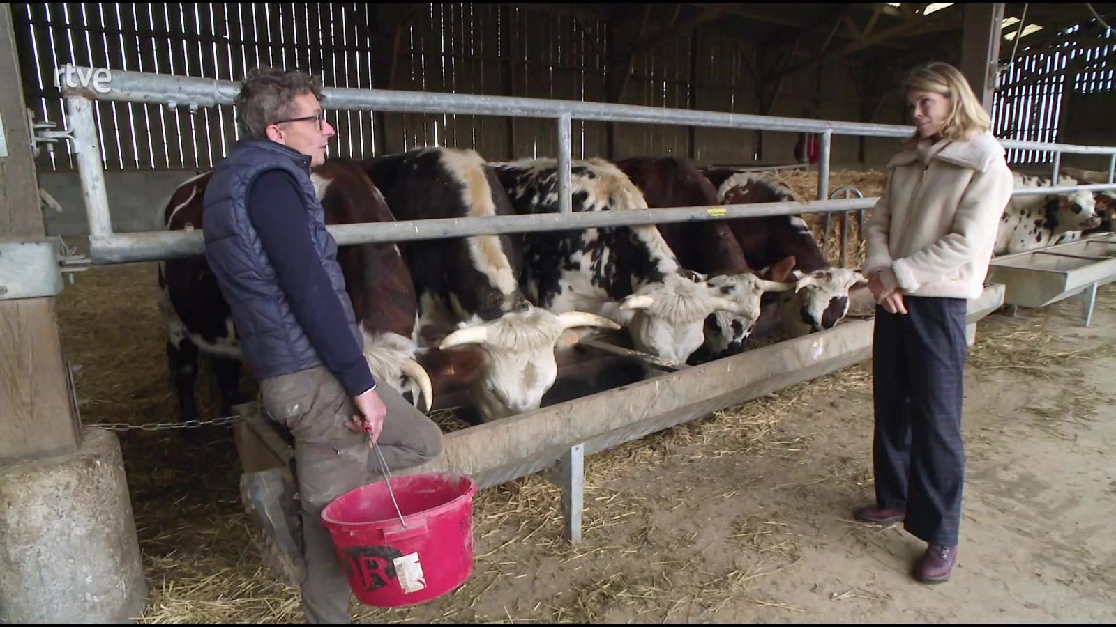 Las recetas de Julie - Los agricultores de hoy. País de Caux - ver ahora
