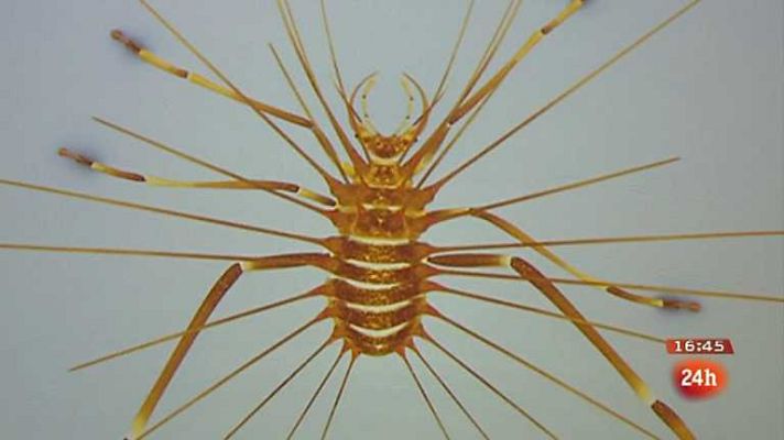 España en 24h - España en 24 horas - 11/12/12