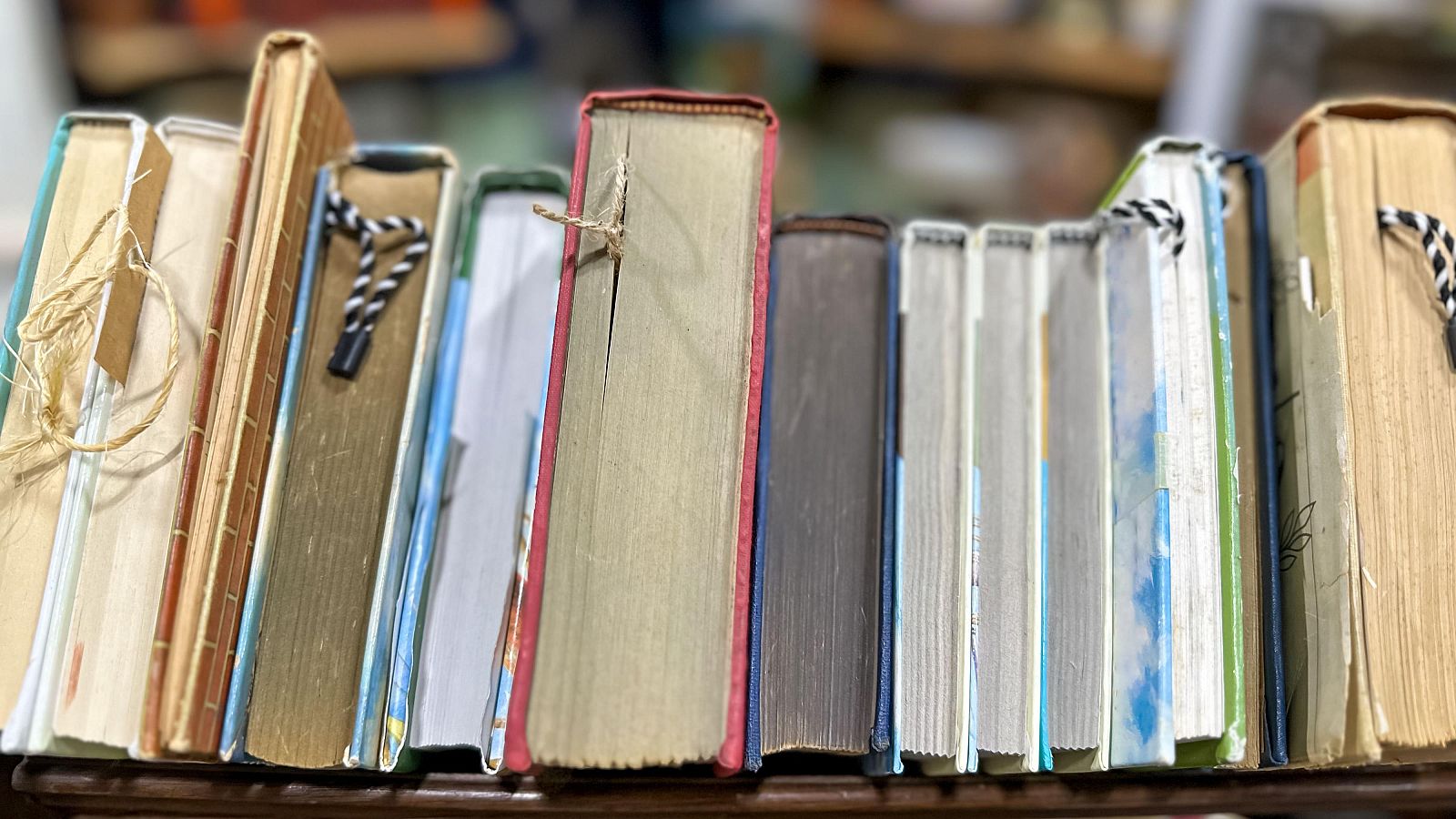 Aumentan los libros prohibidos en escuelas y bibliotecas públicas de EE.UU. | Ver