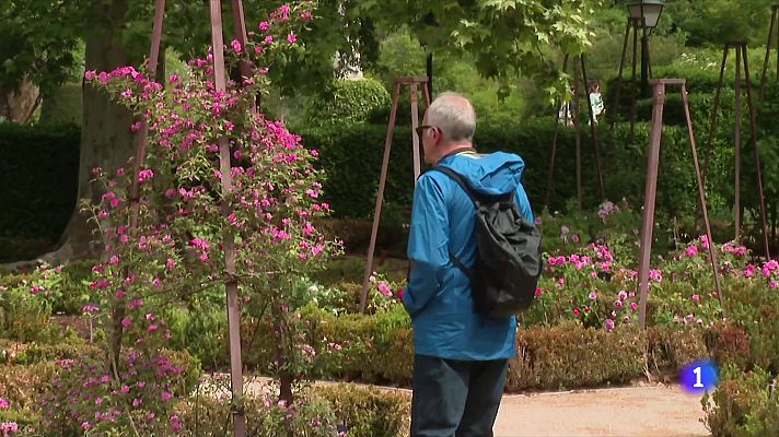 Telediario Fin de Semana - Polinización y cambio climático